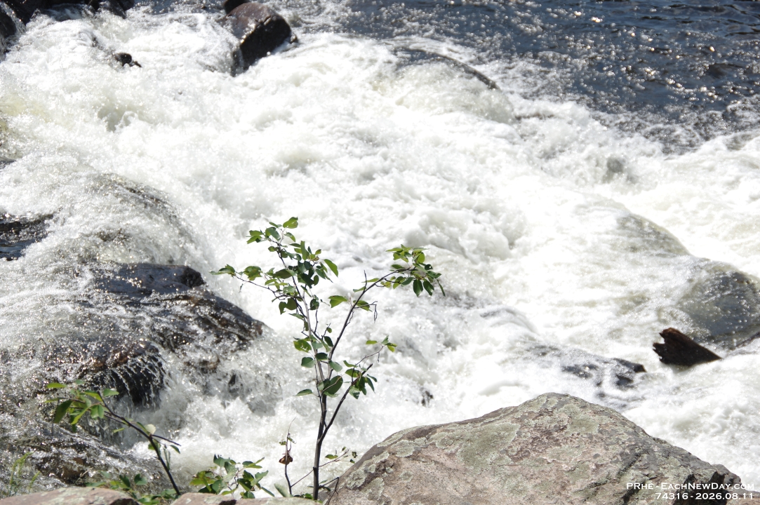 74316 - Vacation 2026 - Deerhurst - Kayaking the Oxtongue River to Marsh's Falls with John - Deb